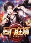 寒门狂婿 妙笔小书生