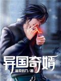 异国奇婿 温柔的刀