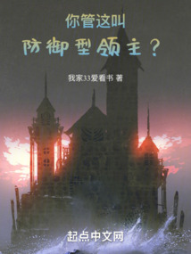 你管这叫防御型领主?