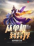 从单机到异界 魂梦魅影
