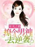 星光之路小说