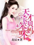 天才宝贝笨妈咪 北辰
