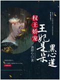 权王娇宠,王妃是朵黑心莲 小说