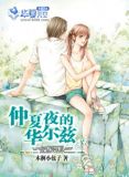 夏日华尔兹音乐
