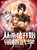 从杀猪开始领悟武学无防盗