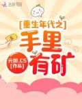 重生年代之手里有矿 有声小说