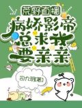 荒野直播完结小说