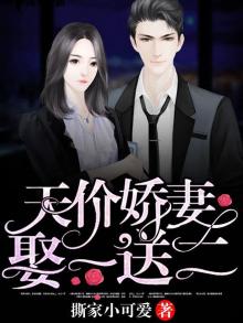 天价娇妻买一送一全文
