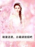 萌妻逆袭,总裁请接招吧
