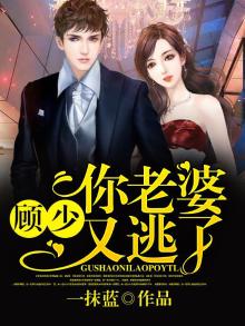 顾少,你老婆又逃了小说