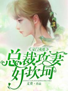 总裁豪门婚恋爱情小说