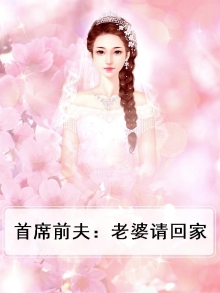 首席前夫:老婆请回家