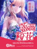 蔷薇花香小说