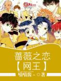 蔷薇之恋原著