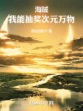 海贼:我能抽奖次元万物 小说 免费