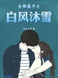 全职高手之风起