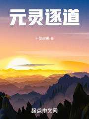 元灵逐道笔趣网