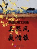 穿越红楼之王熙凤进宫当太后