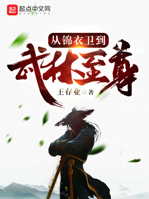 从锦衣卫到武林至尊 小说