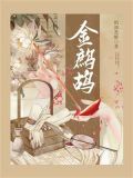 金鹧鸪TXT免费下载