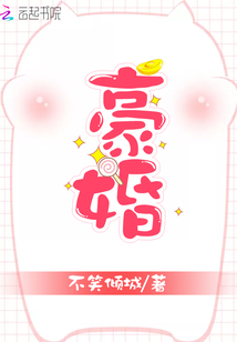 豪婚小说