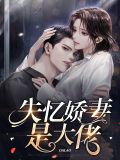 穿成大佬娇妻小说