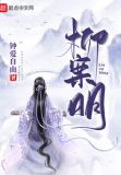 柳案明txt 小说