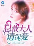 总裁大人请深爱免费阅读