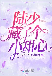 陆少藏了个小甜心目录