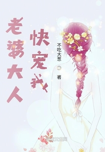 老婆大人快宠我免费阅读