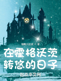 在霍格沃茨读书的日子免费阅读
