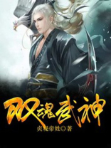 双魂武神TXT下载