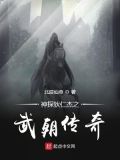 神探狄仁杰之武朝传奇 小说