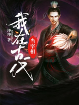 我在古代当宰相百度百科