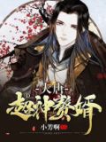 无敌大唐赘婿