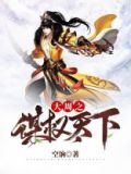 大周之权谋天下 空饷下载