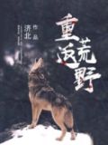 重返荒野极限充能