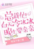 总裁他白天冷冰冰,晚上要亲亲闻轻商应寒