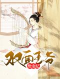 双面王爷二货妃全文免费阅读