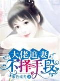 大佬追妻不择手段网盘