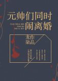 元帅们一起闹离婚