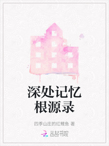 深处记忆攻略