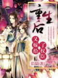 重生后又嫁给了权臣蓝白格子