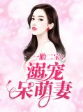一胎二宝超级宠