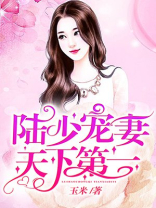 陆少宠妻天下第一 小说