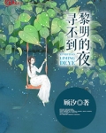 寻不到黎明的夜