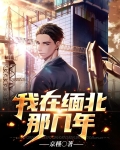 我在缅北那几年txt