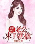 妻色撩人聂先生的心尖宠