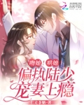 陆少的偏执