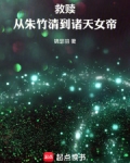 斗罗:从朱竹清到诸天女帝免费阅读锦瑟羽